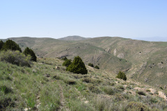 iran_2