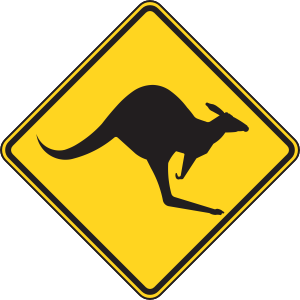 Kangaroo_Warning