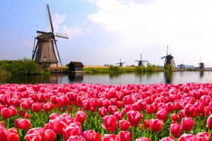 10d-beauty-of-holland-(eu10a)